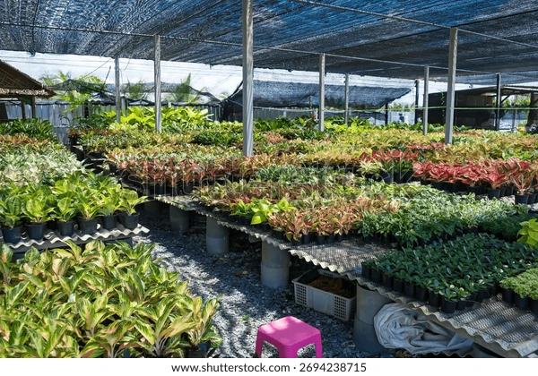 Nurseries